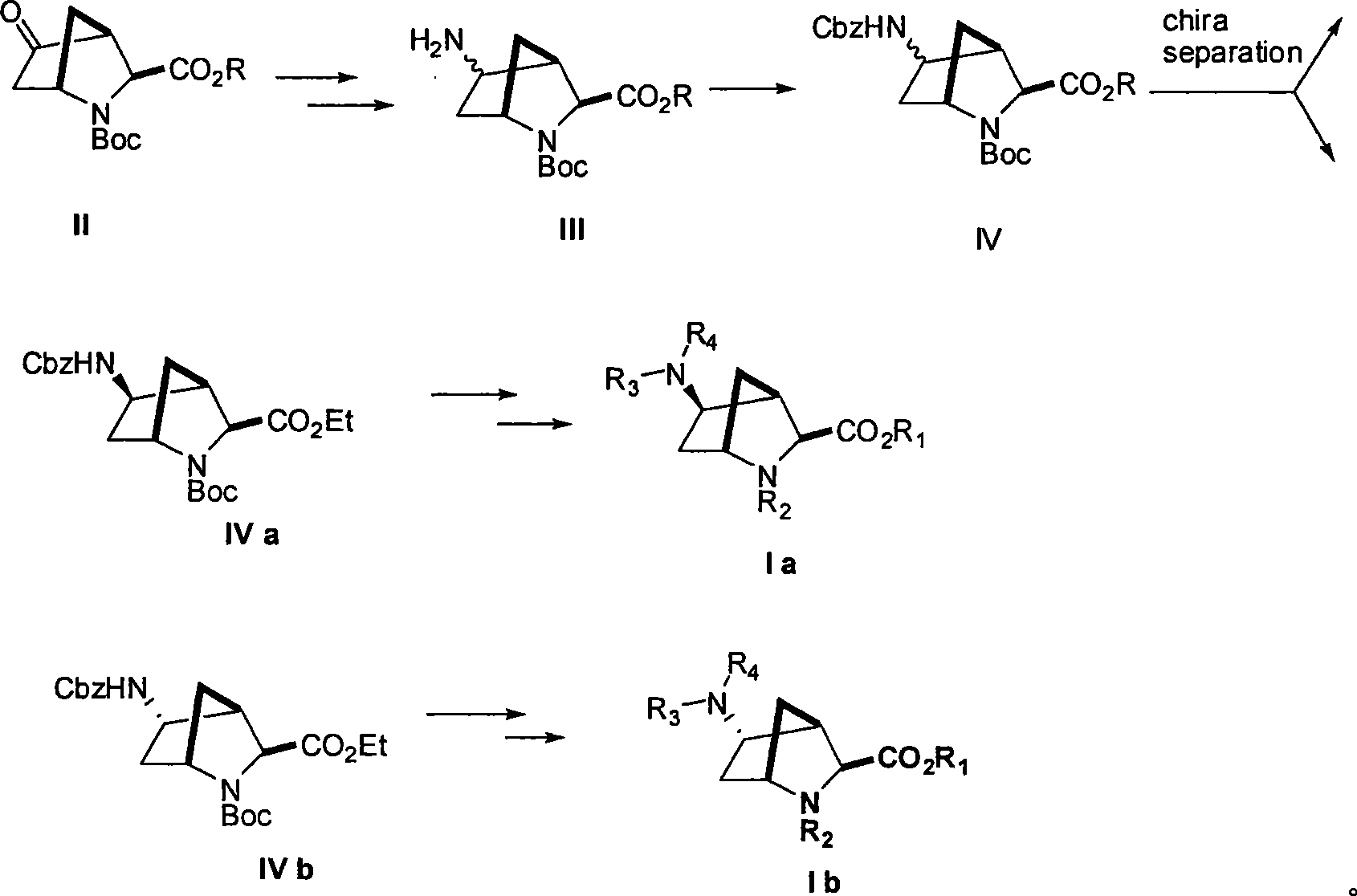 5-amino-2-azabicyclo [2.2.1] heptane-3-carboxyl acid derivatives, and preparation thereof