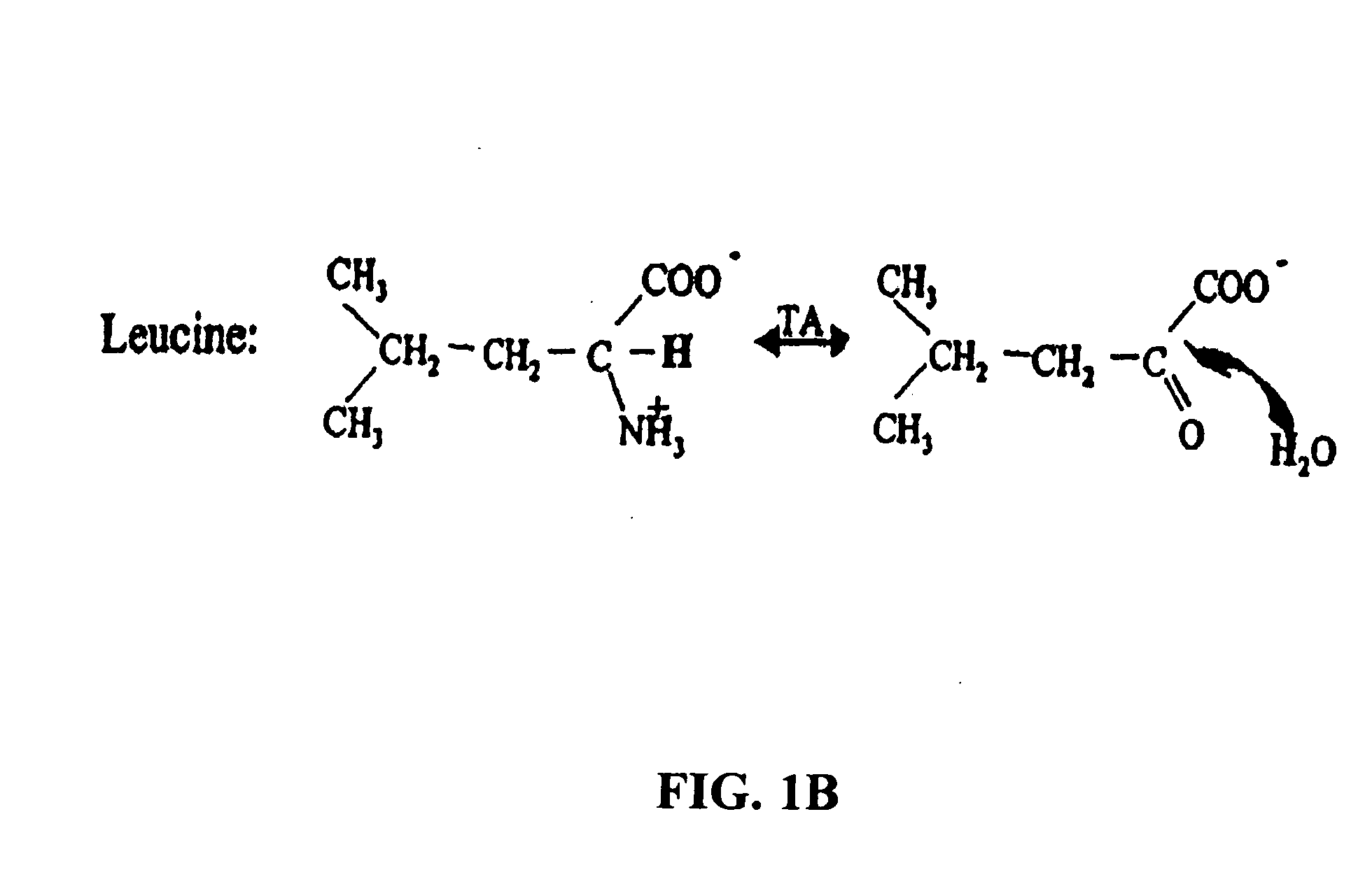 Compositions and methods of treatment using modulators of motoneuron diseases