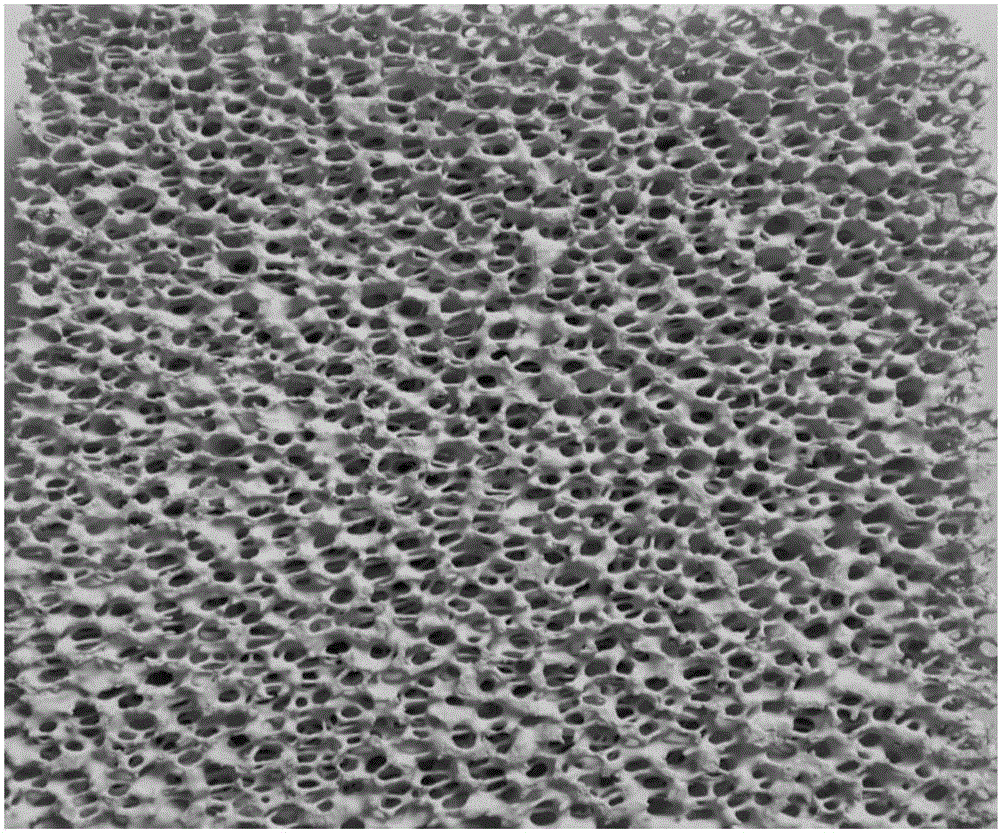 Foam-like low-temperature SCR catalyst and preparation method thereof