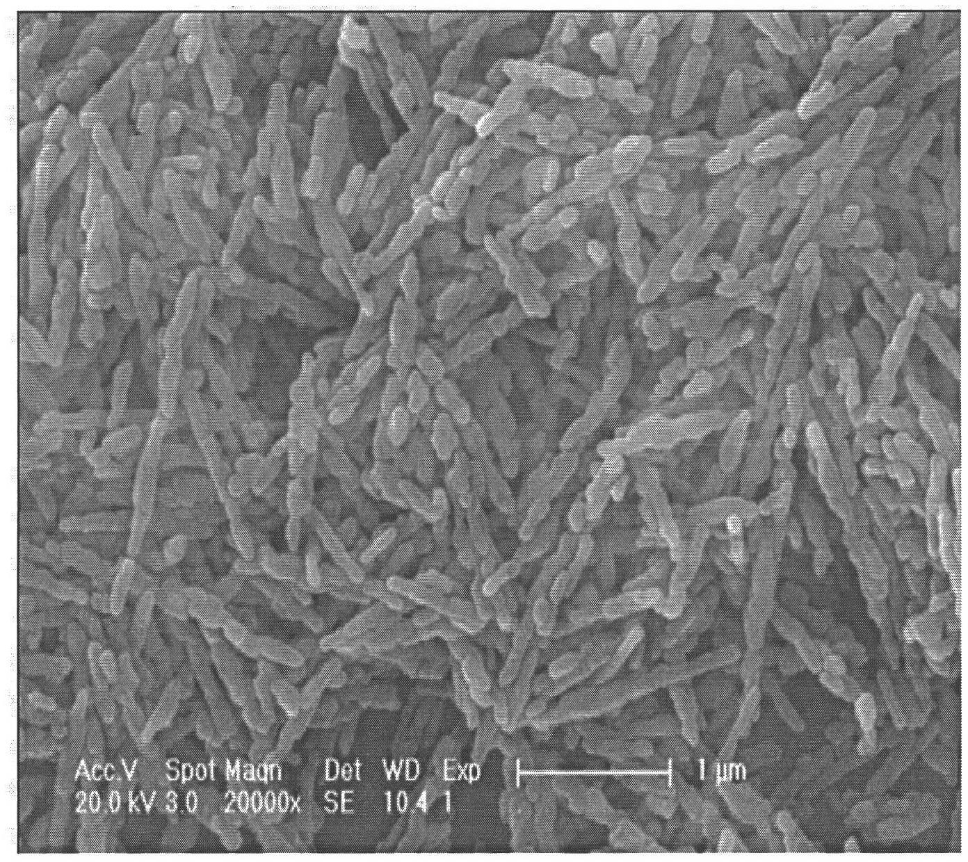 Europium ion-doped sodium gadolinium tetrafluoride luminescent nanorod and preparation method thereof