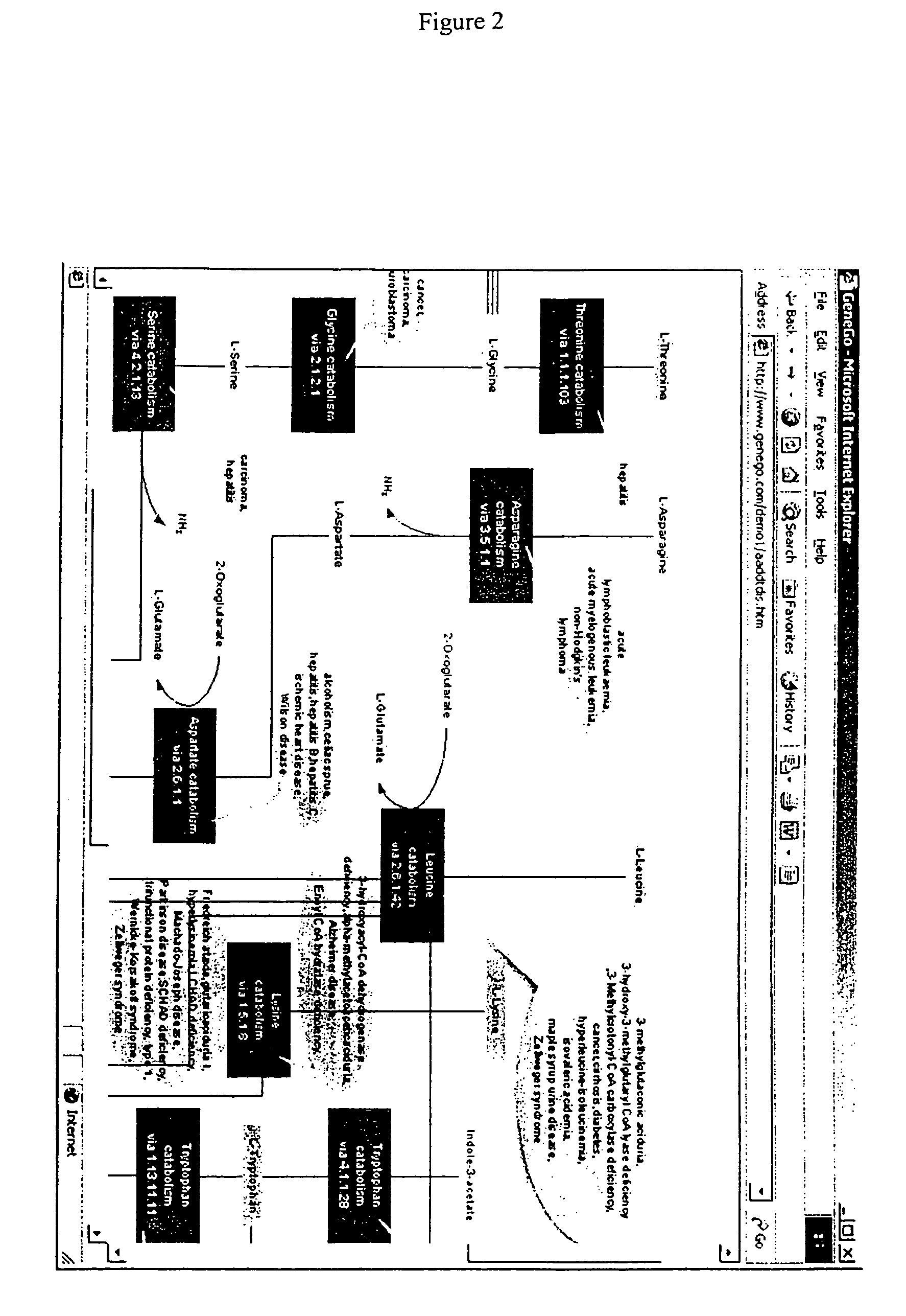 Methods for identification of novel protein drug targets and biomarkers utilizing functional networks