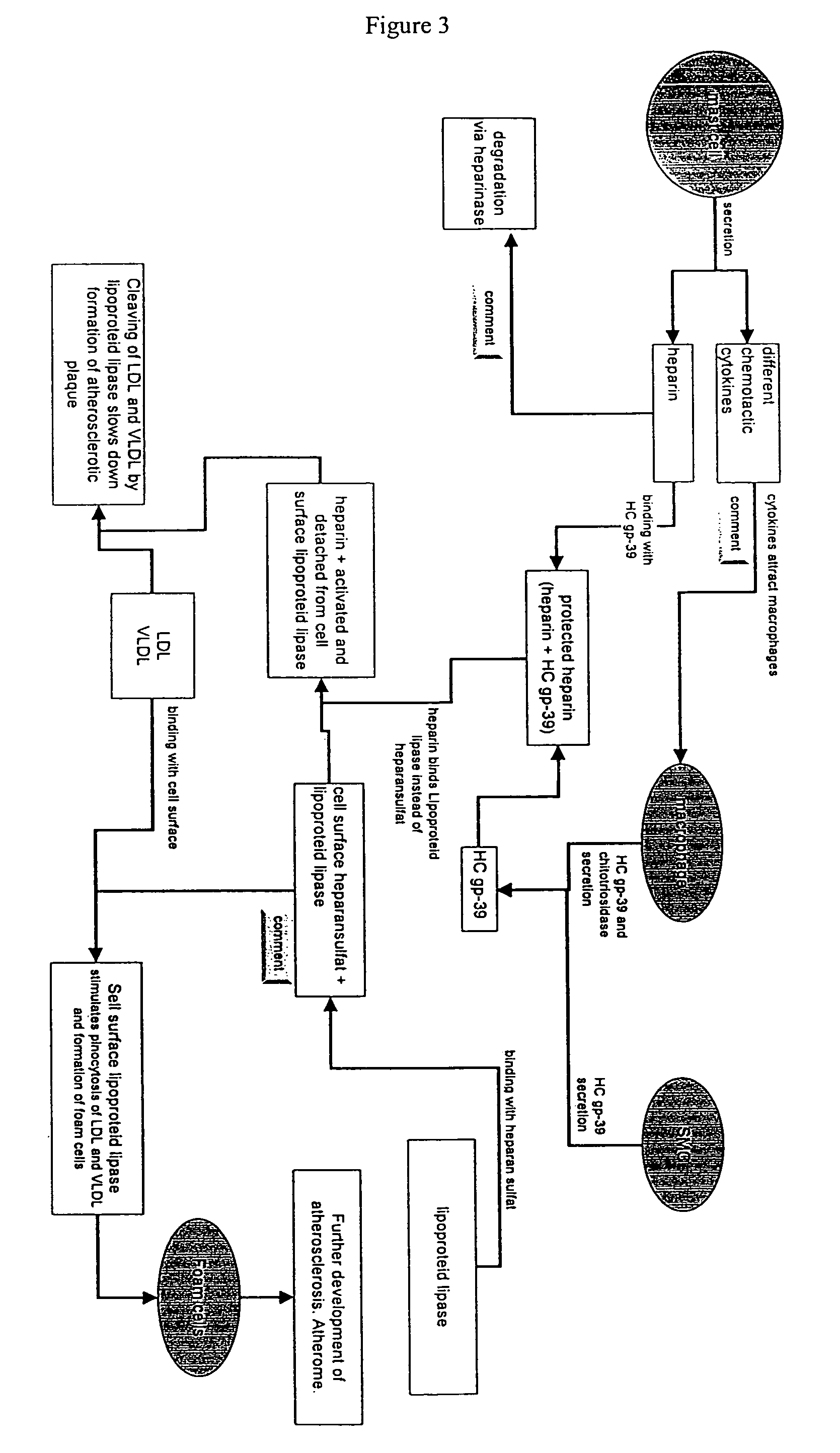 Methods for identification of novel protein drug targets and biomarkers utilizing functional networks