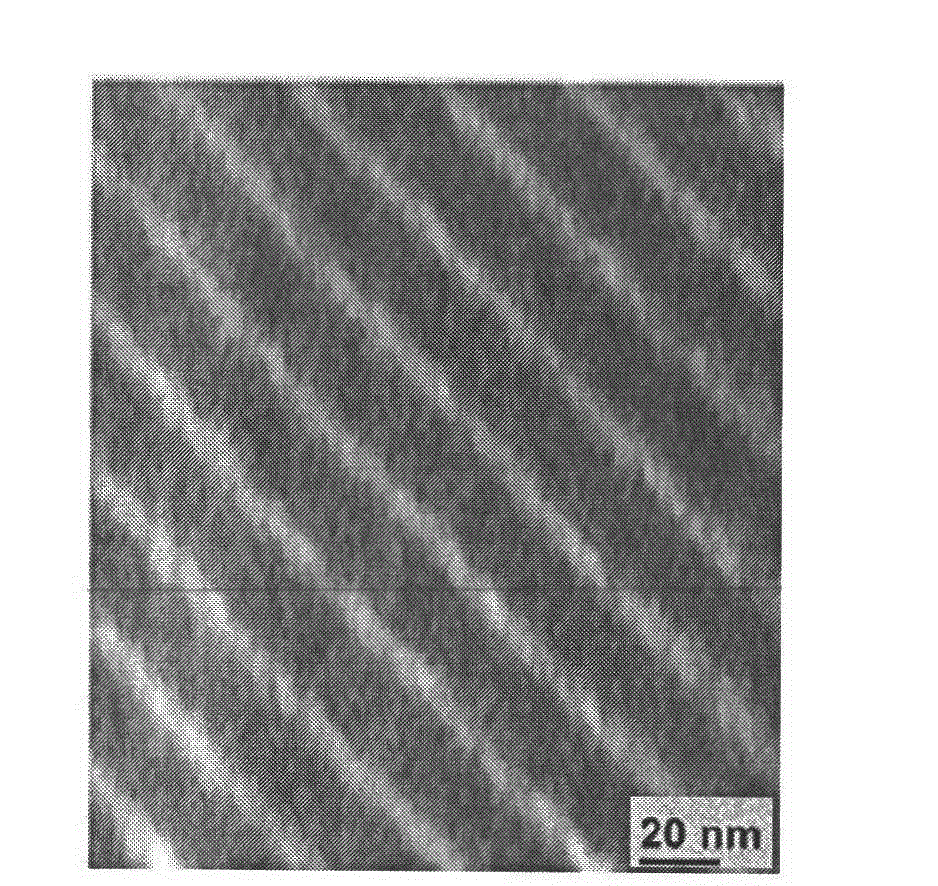 Preparation method and application of environmental estrogen electrochemical immunosensor