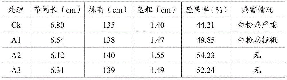 Active seaweed fertilizer and production method thereof