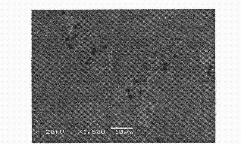 Optical laminated body, polarizer, display device and manufacturing method of optical laminated body