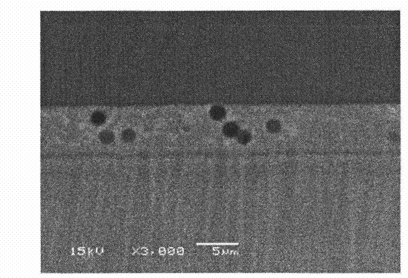 Optical laminated body, polarizer, display device and manufacturing method of optical laminated body