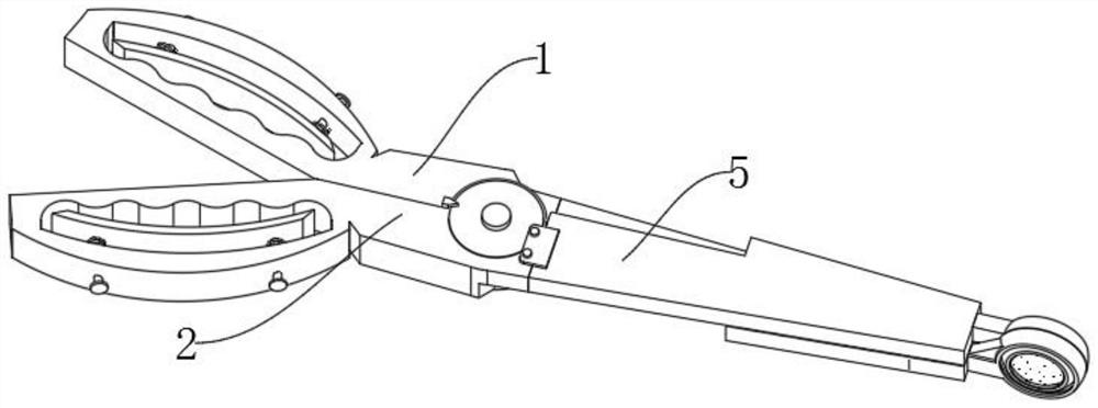 A gynecological tumor removal device