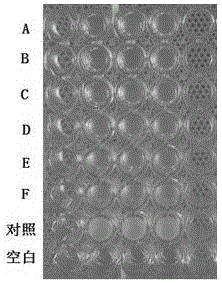 Reagent capable of preventing and eliminating pollution of mammalian cells