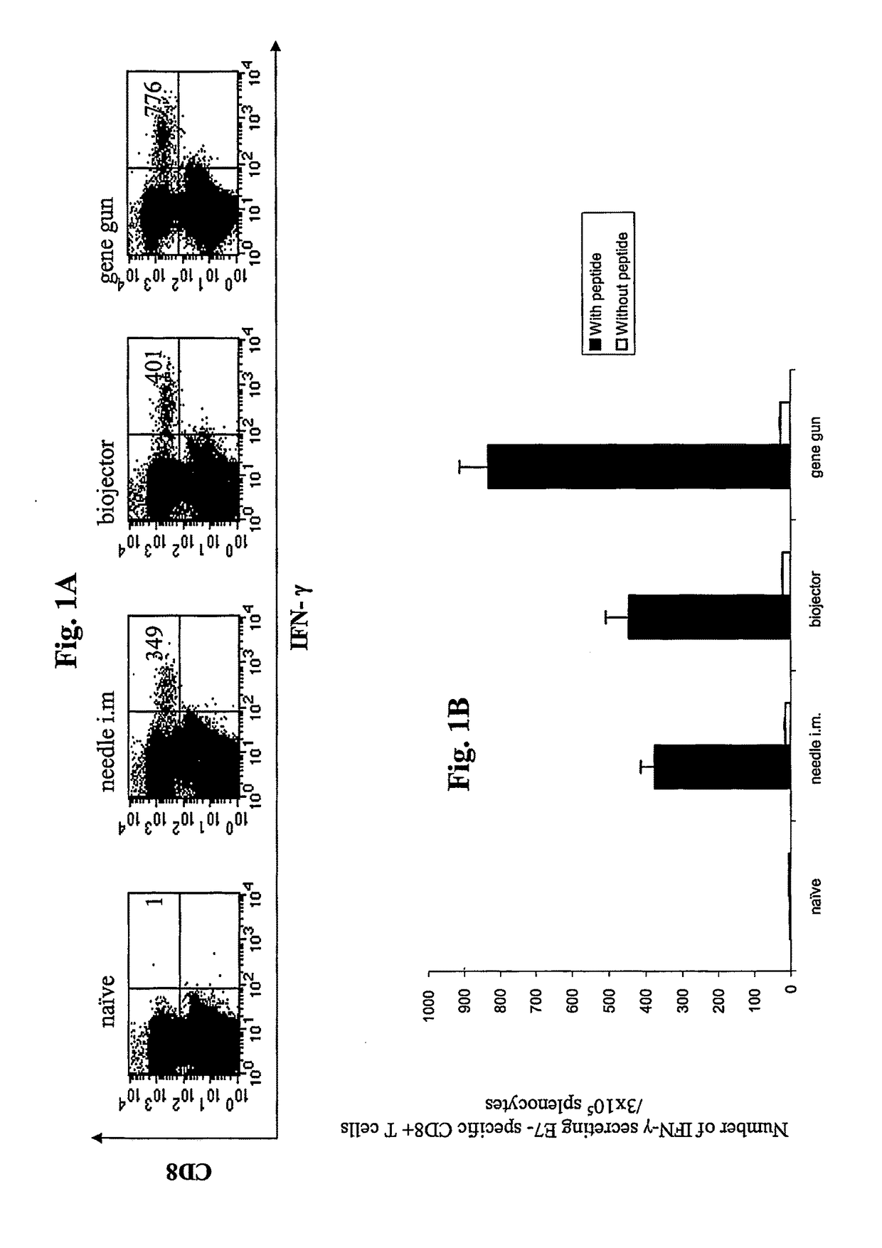 Anti-cancer DNA vaccine employing plasmids encoding signal sequence, mutant oncoprotein antigen, and heat shock protein