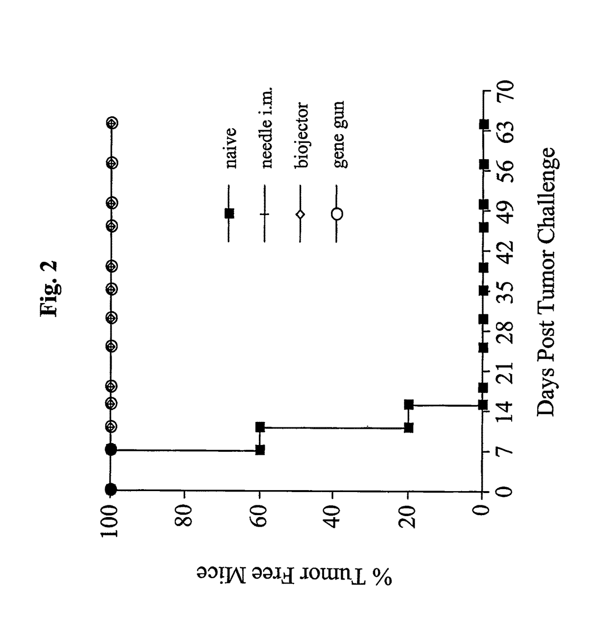 Anti-cancer DNA vaccine employing plasmids encoding signal sequence, mutant oncoprotein antigen, and heat shock protein