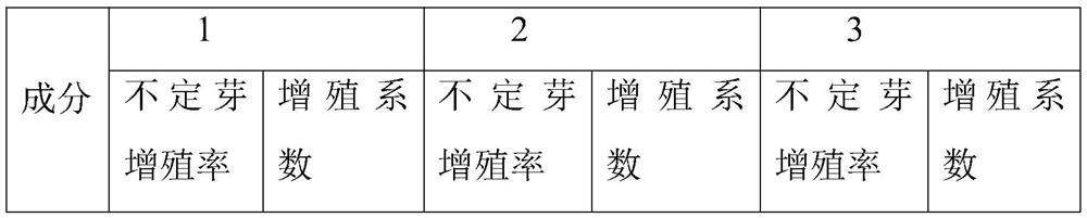 Method for in-vitro germination and efficient rapid propagation of canna plant seeds