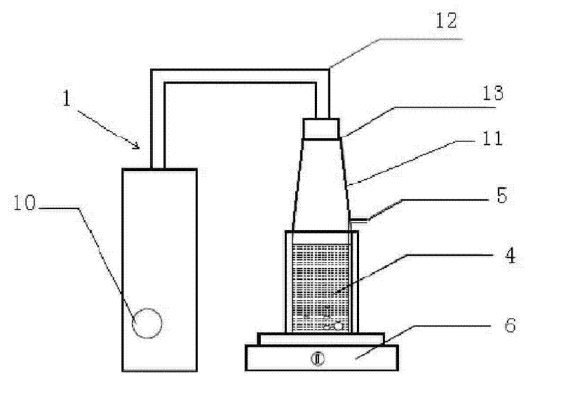 Method and equipment for inactivating cryptosporidium oocysts and giardia cysts in water