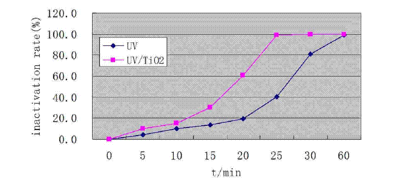 Method and equipment for inactivating cryptosporidium oocysts and giardia cysts in water