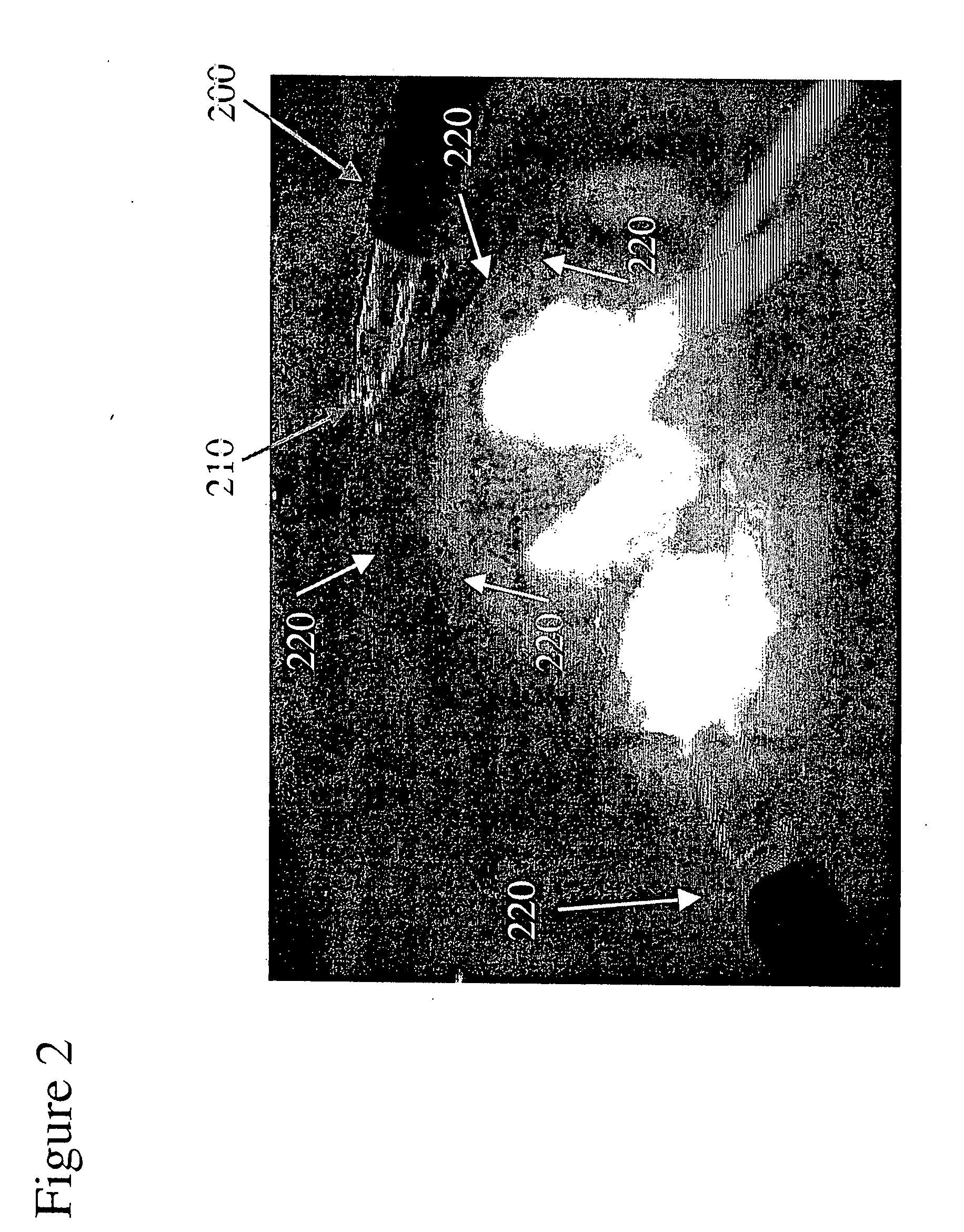 Electro-adhesive tissue manipulation method