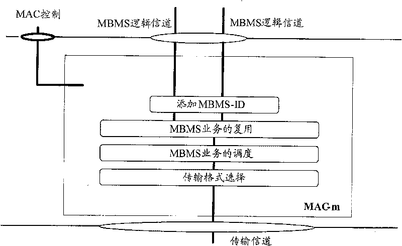 Multiplexing method for broadcast multicast service data and de-multiplexing method