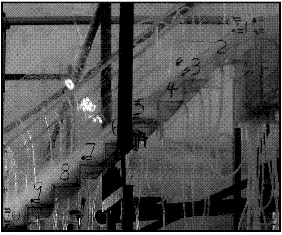 Prevention and control method of water flow leapfrog in drainage structures and ladder energy dissipation work