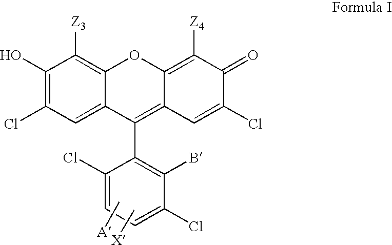 4,7-dichlorofluorescein dyes as molecular probes