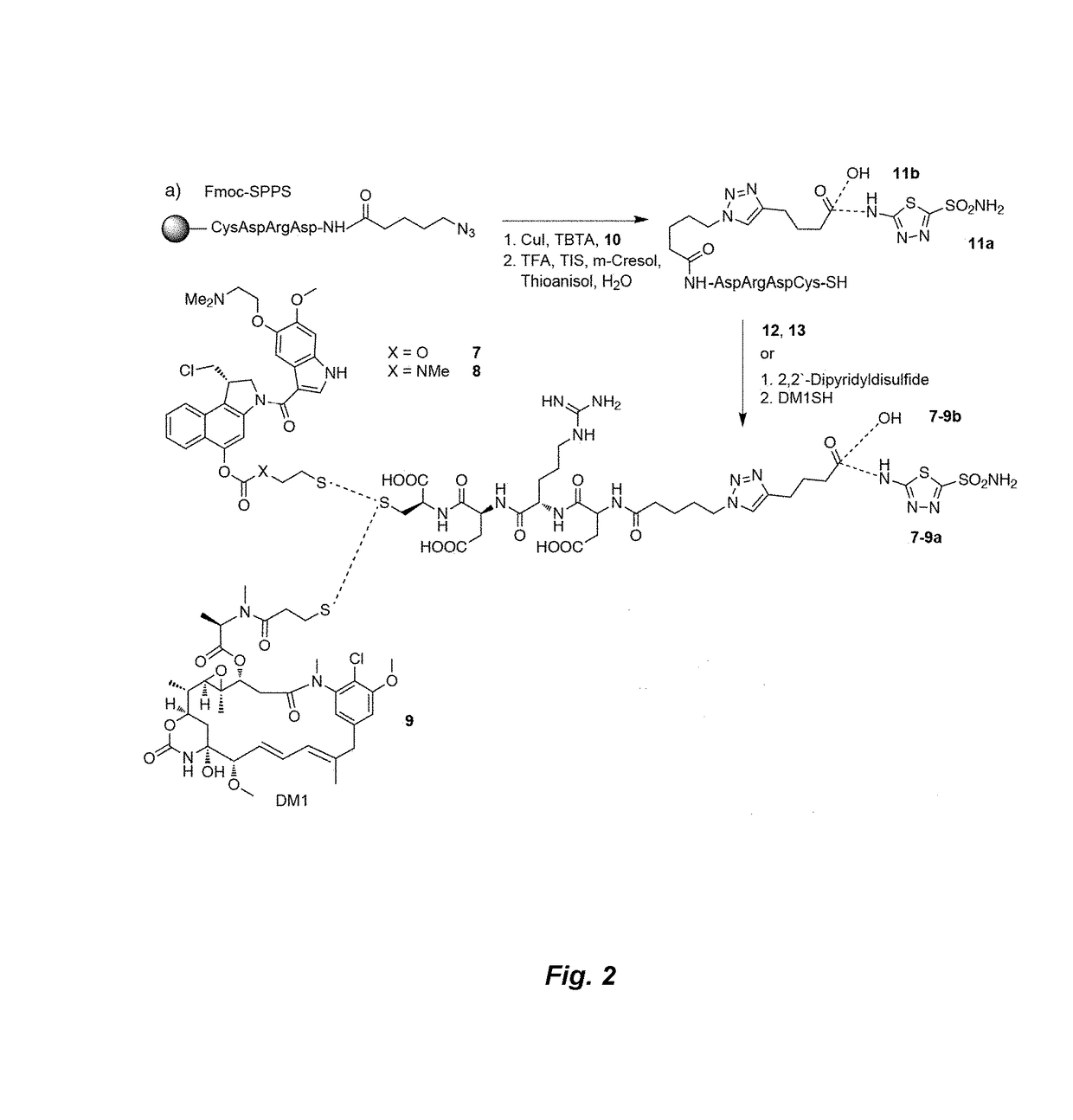 Small Molecule Drug Conjugates