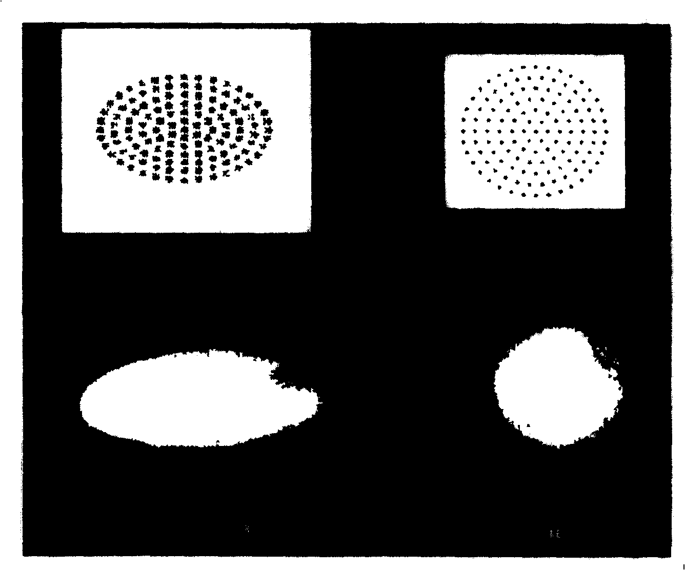 Microarray chip detection system