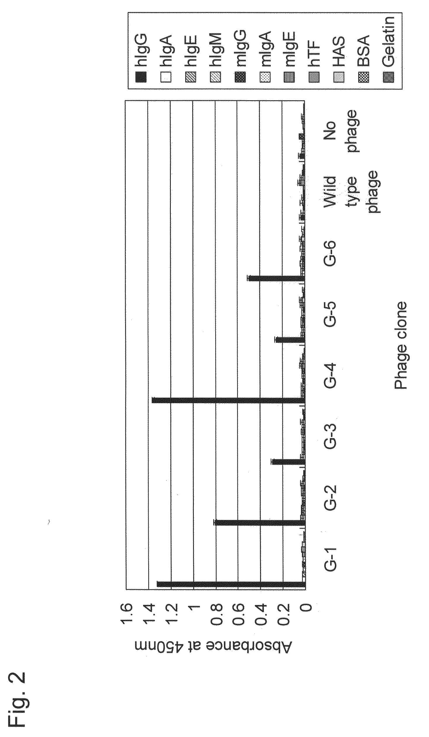 IgG BINDING PEPTIDE