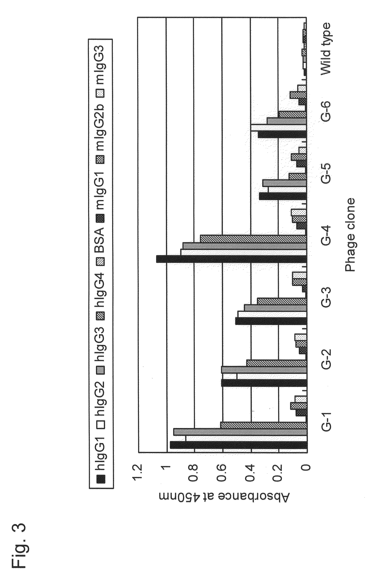 IgG BINDING PEPTIDE