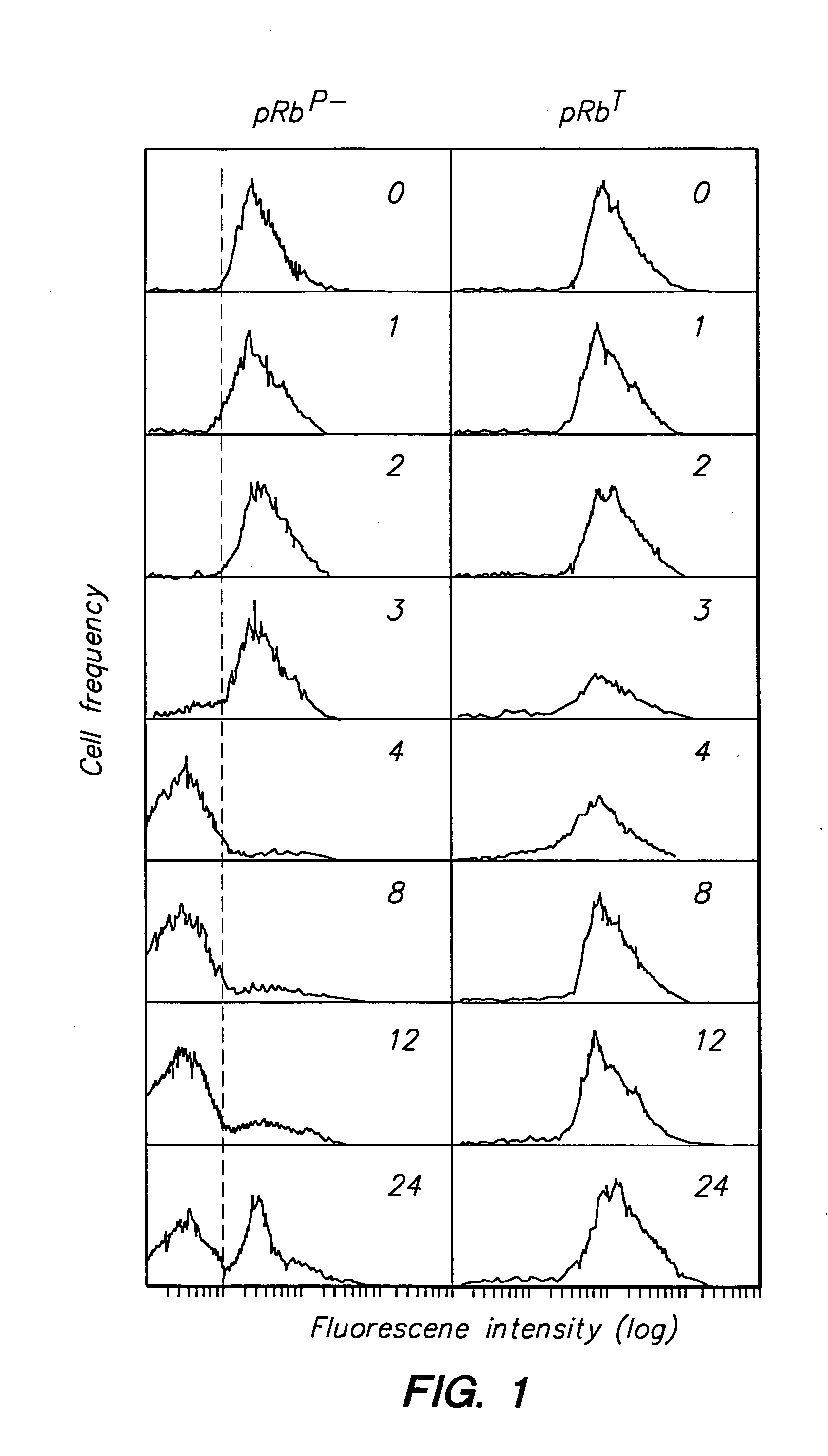 Detection of protein conformations in single cells