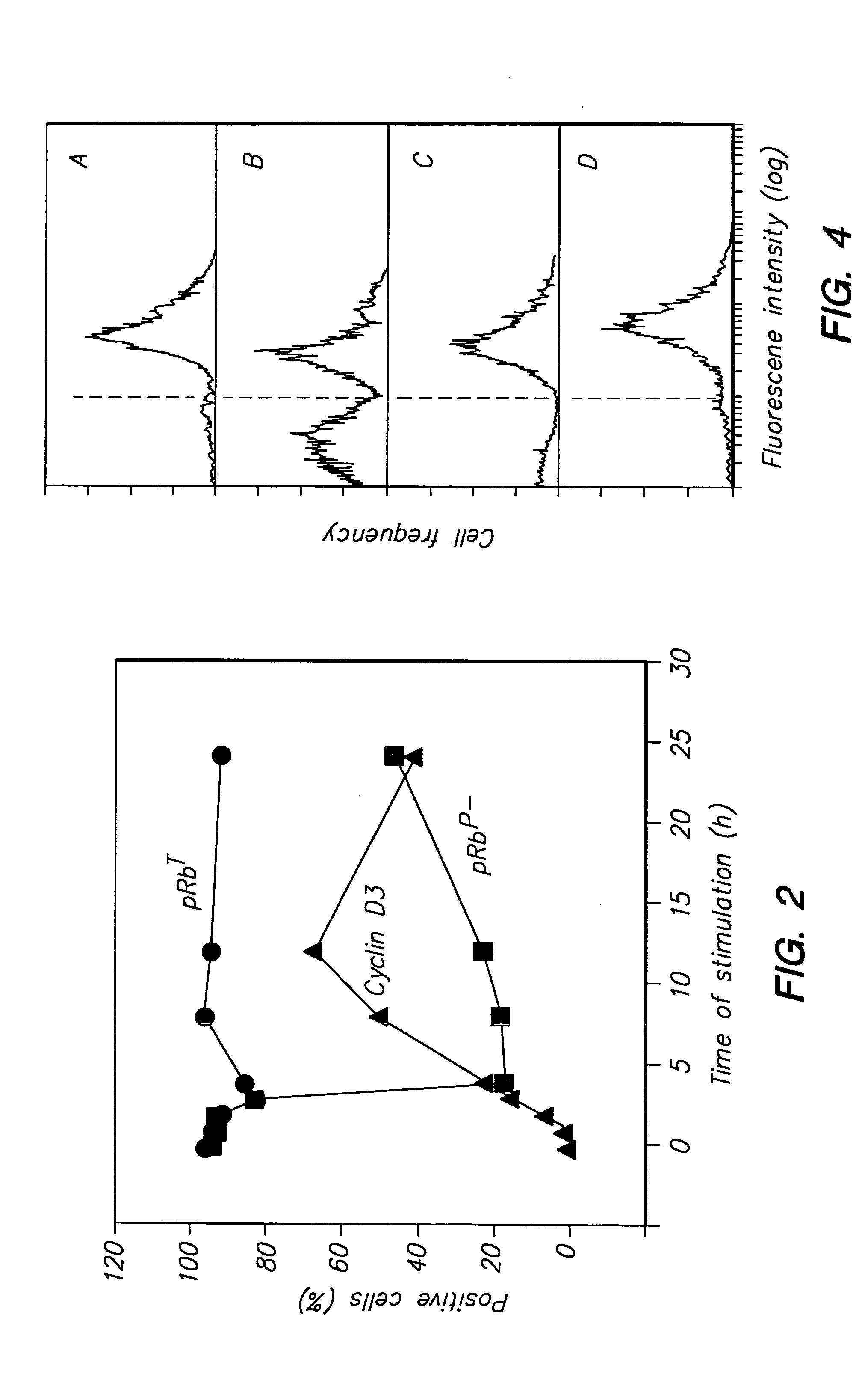 Detection of protein conformations in single cells