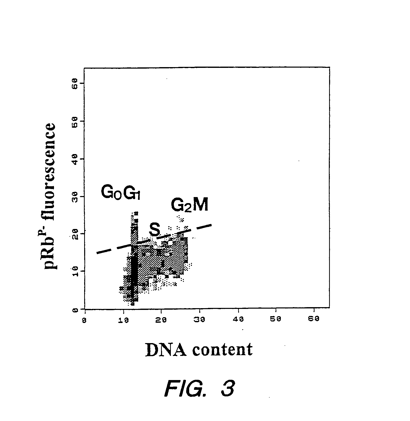 Detection of protein conformations in single cells