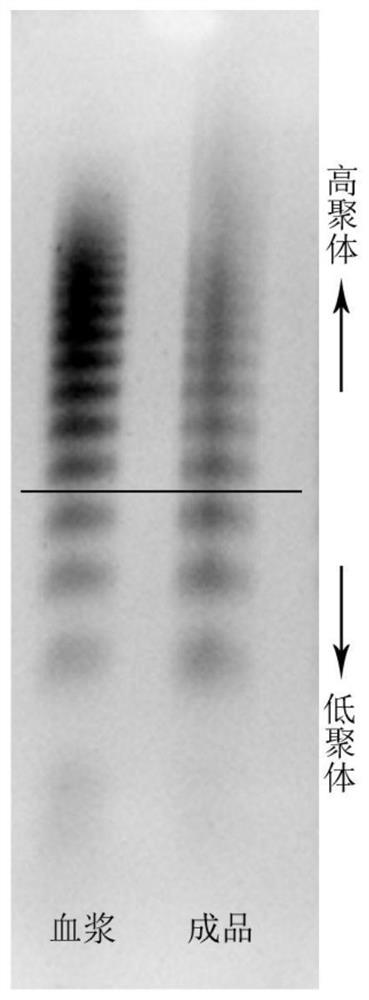 Production process of blood-derived human blood coagulation factor VIII/von willebrand factor compound