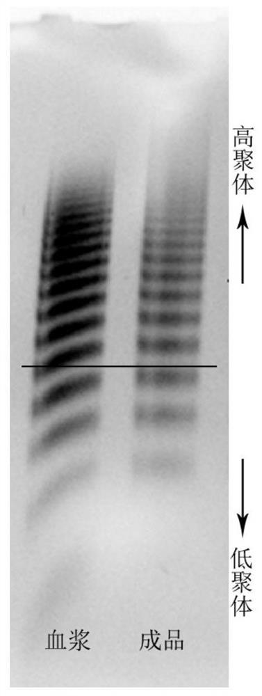 Production process of blood-derived human blood coagulation factor VIII/von willebrand factor compound