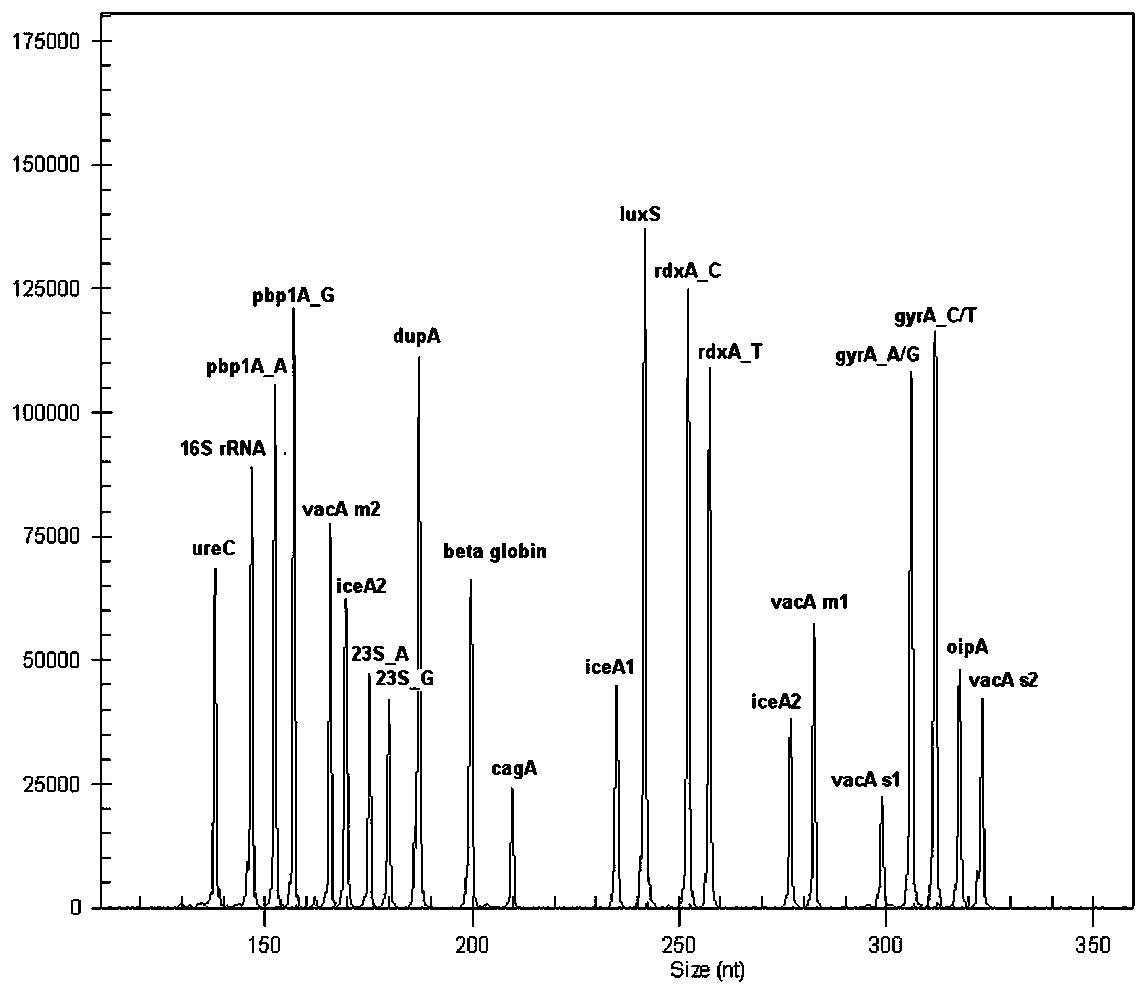 Helicobacter pylori multiple gene detection system and its kit and application