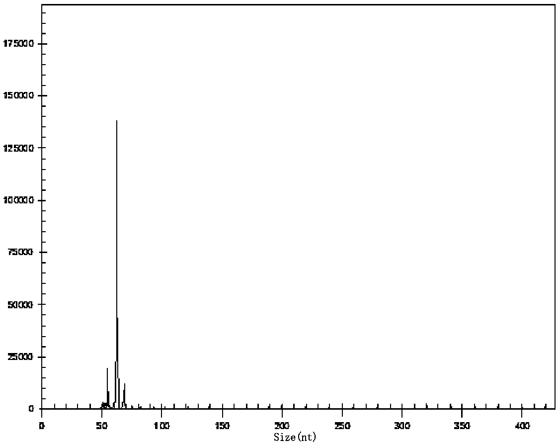 Helicobacter pylori multiple gene detection system and its kit and application