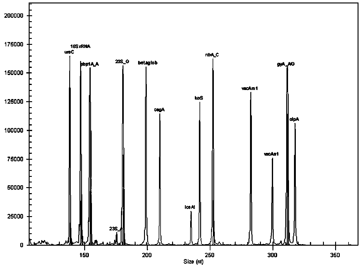 Helicobacter pylori multiple gene detection system and its kit and application