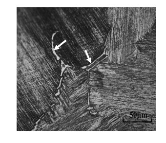 Thermal treatment process capable of reducing microsegregation of directionally-solidified high-niobium TiAl alloy