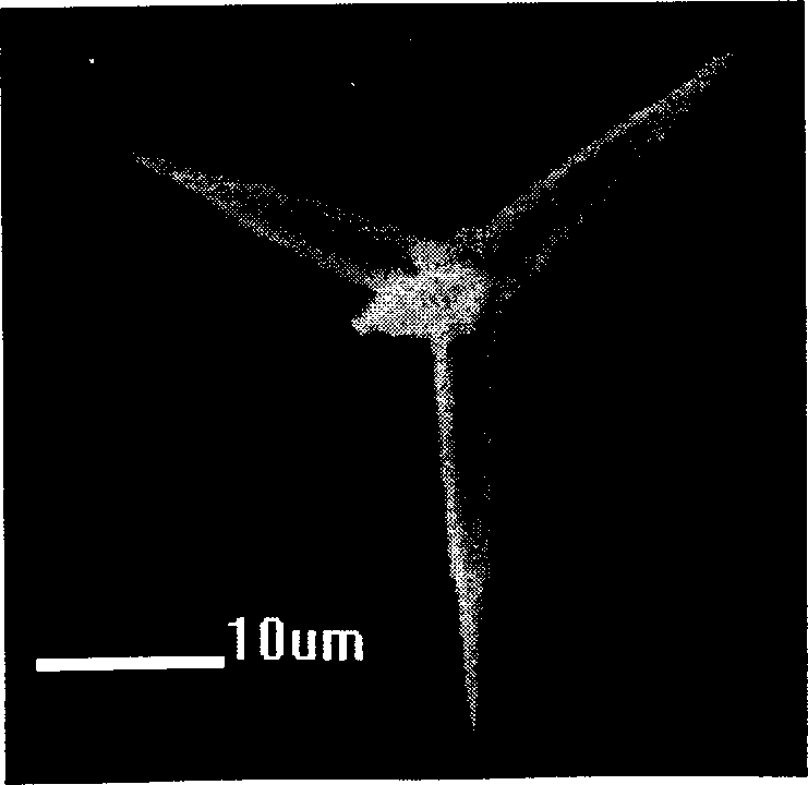 Inorganic antiseptic of zinc oxide lattice carried silver and its prepn