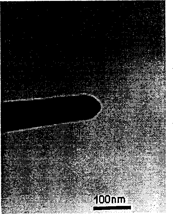 Inorganic antiseptic of zinc oxide lattice carried silver and its prepn