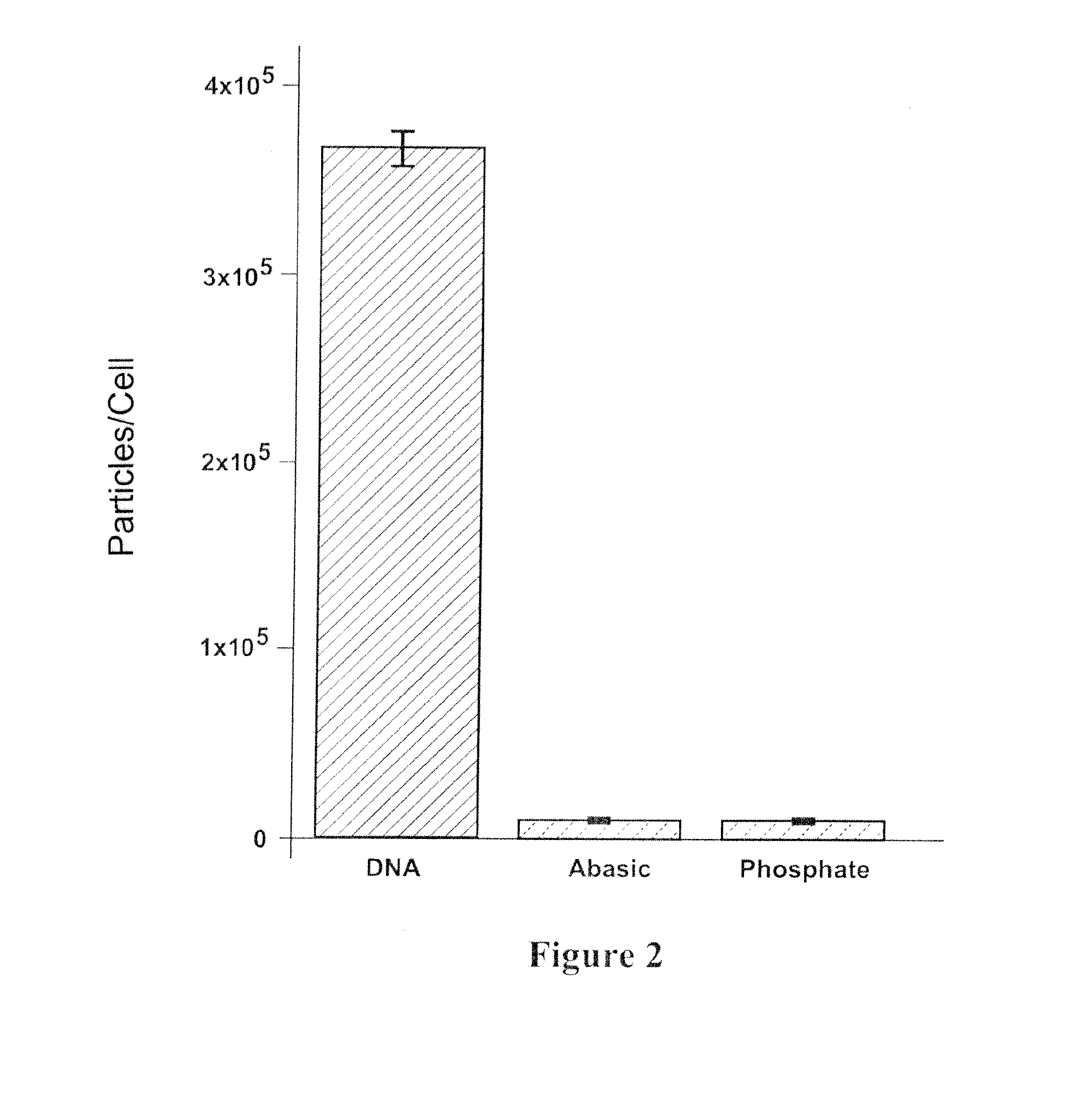 Oligonucleotide specific uptake of nanoconjugates