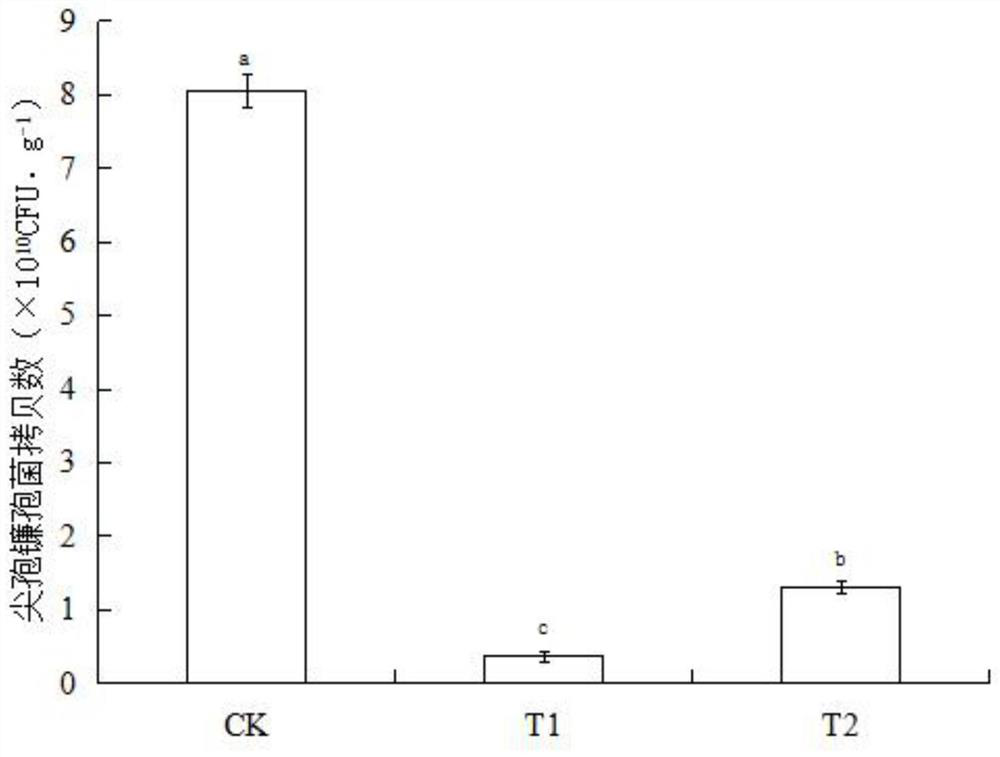 Method for preventing and controlling continuous cropping obstacles of apples, pears and peaches by using ammonium persulfate complexing agent