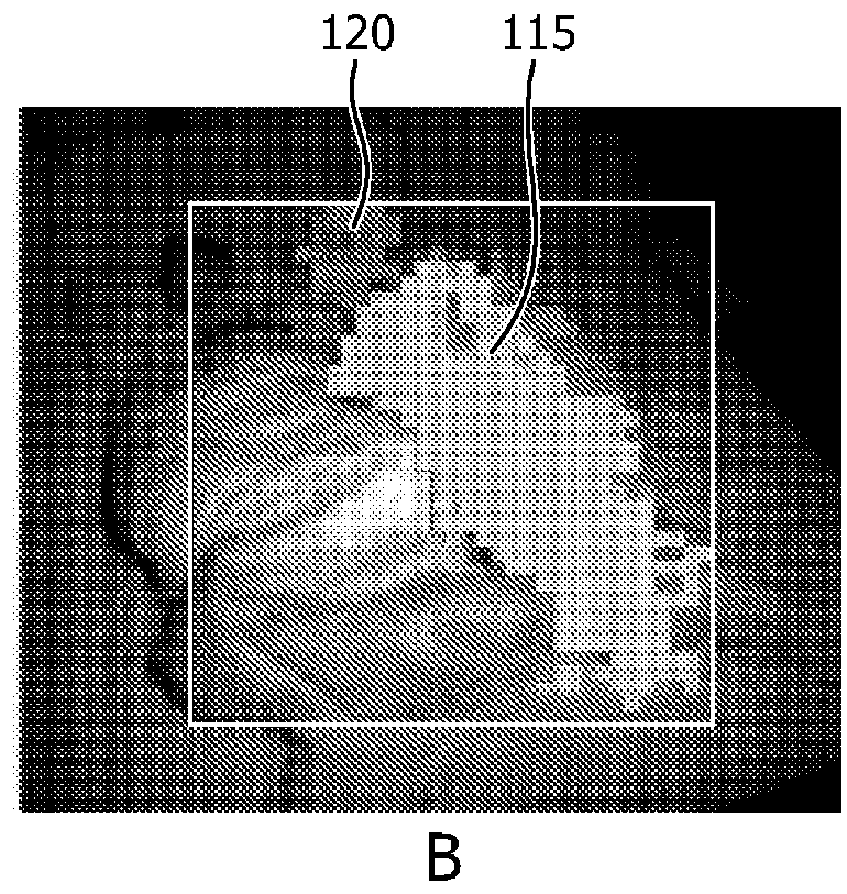 Method and apparatus for monitoring movement and breathing of multiple subjects in a common bed