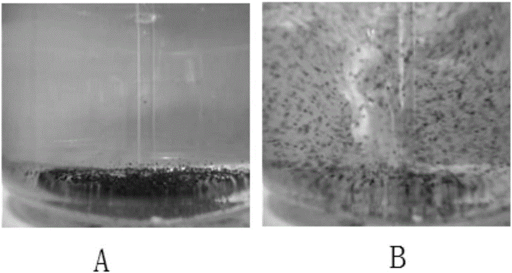 Method for determining mixing time of multiphase flow by using RGB color model