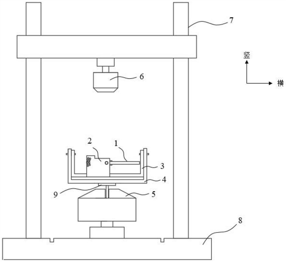 Ankle biomechanical loading device