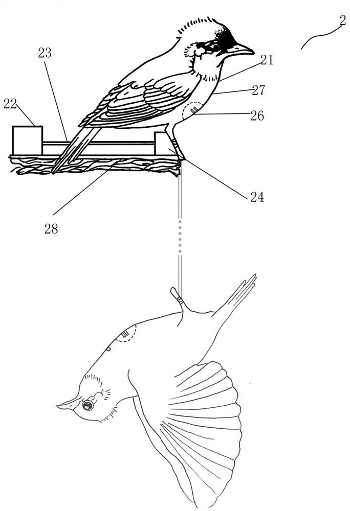 An Intelligent Bird Strike Prevention and Control System