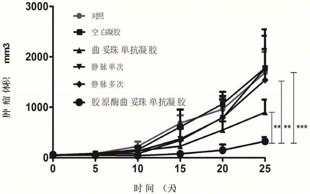 Gel compound of monoclonal antibody drugs