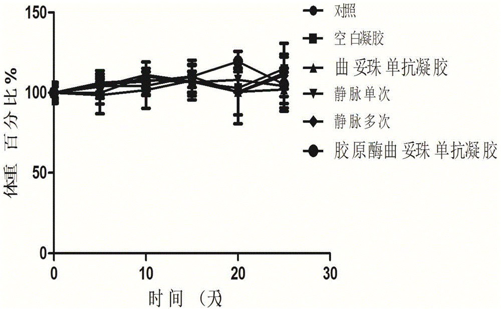 Gel compound of monoclonal antibody drugs