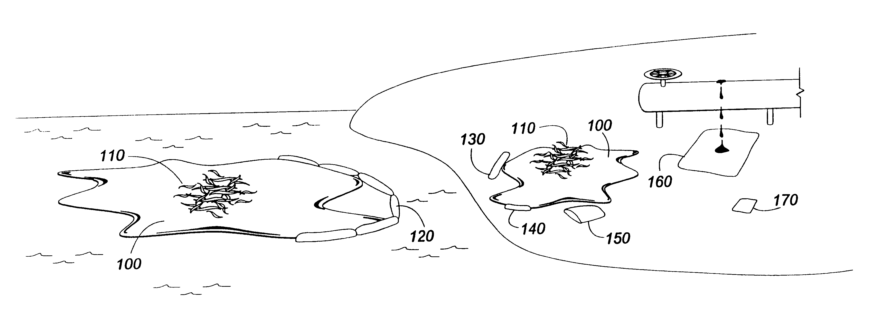 Process for sorbing liquids using tropical fibers