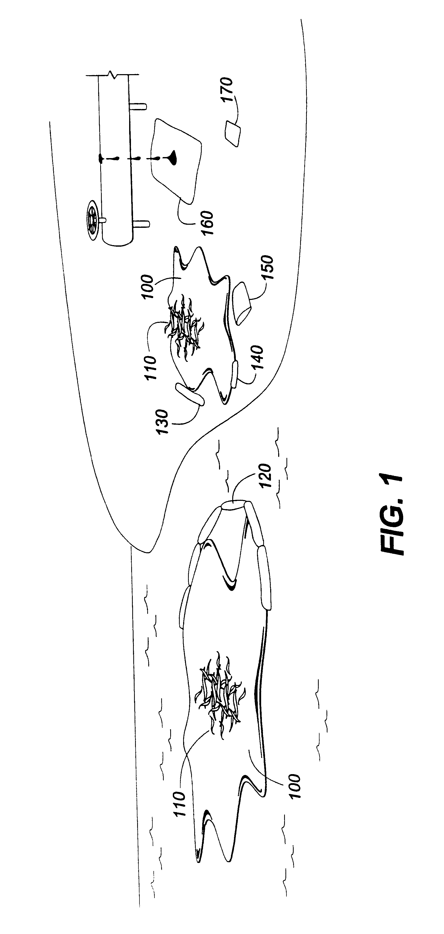 Process for sorbing liquids using tropical fibers