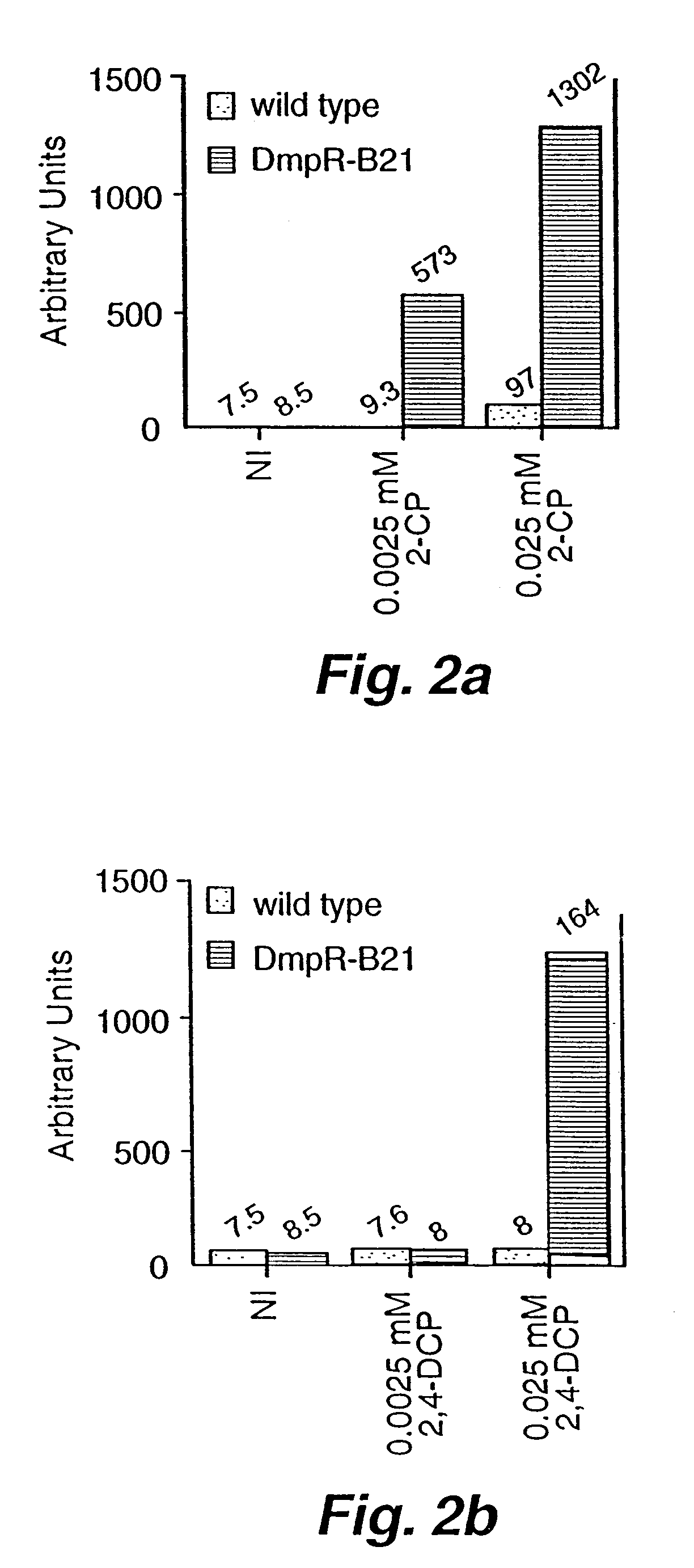 Detection of phenols using engineered bacteria