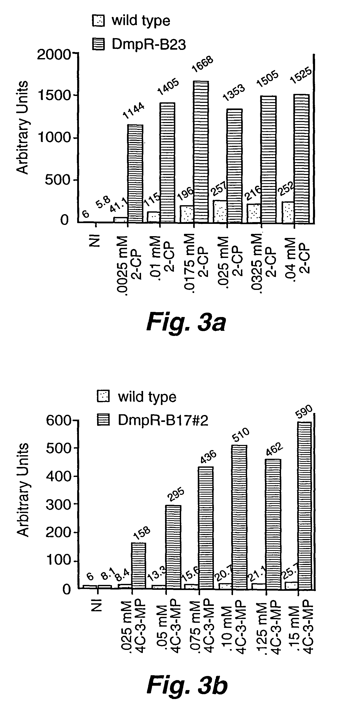 Detection of phenols using engineered bacteria