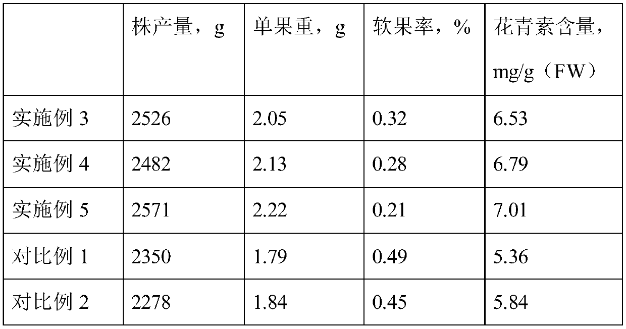 Method for carrying out ecological organic cultivation of blueberries in hilly and mountainous region