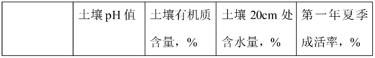 Method for carrying out ecological organic cultivation of blueberries in hilly and mountainous region